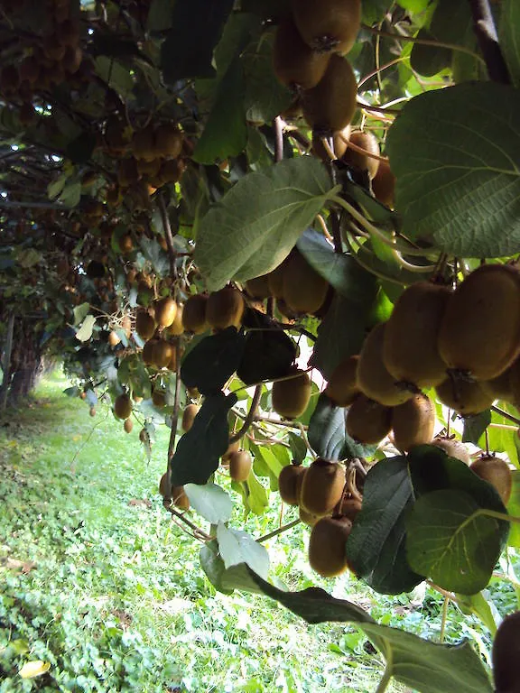 Agriturismo Sant' Anna Villa Treviso